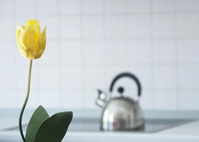 Apartmanhotel San Marco 4*